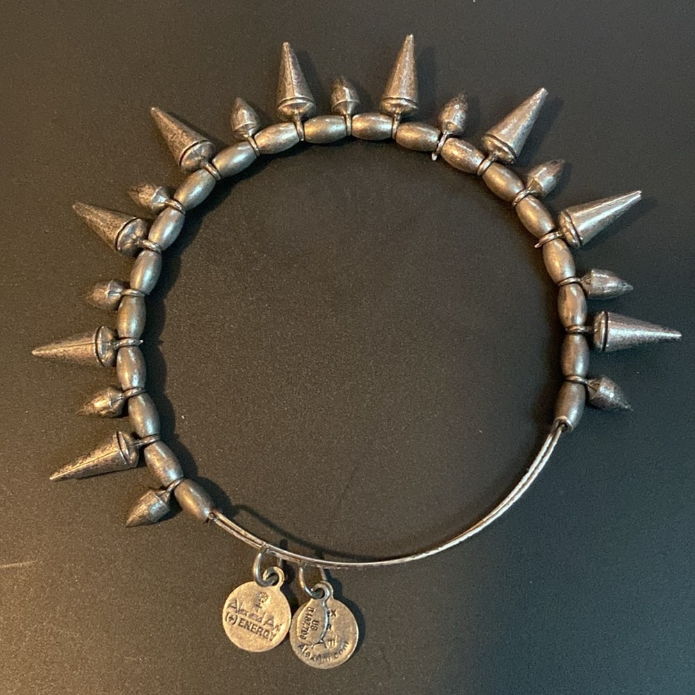 🩶ALEX AND ANI🩶Silver Stud Bangle Bracelet/GC - Picture 5 of 5